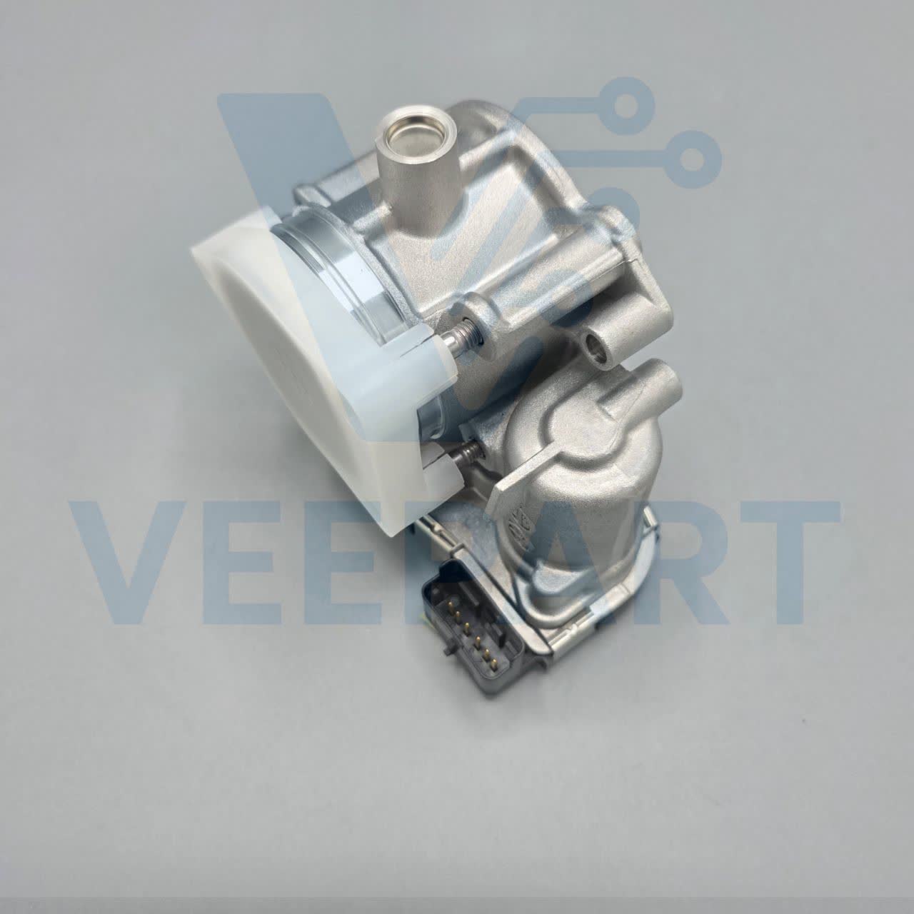 photo28671333811
